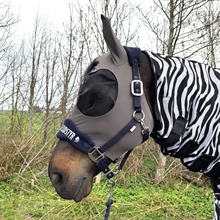 AB insectenmasker Sunny